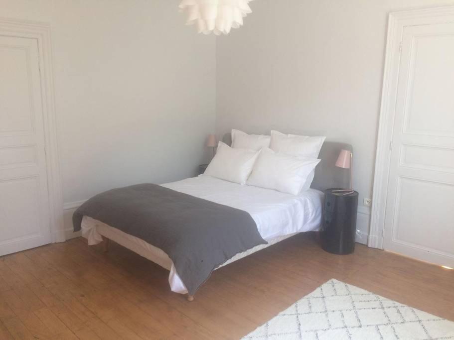 Grande Maison #6 Chambres #Proche Amboise/Tours 莫讷 外观 照片